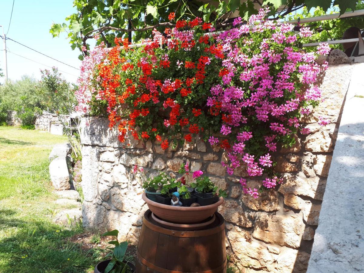 Apartment Sabina I Grapes Malinska