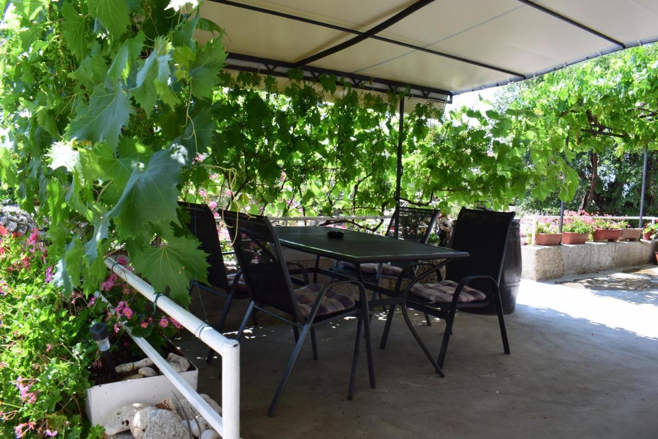Sabina I Grapes *