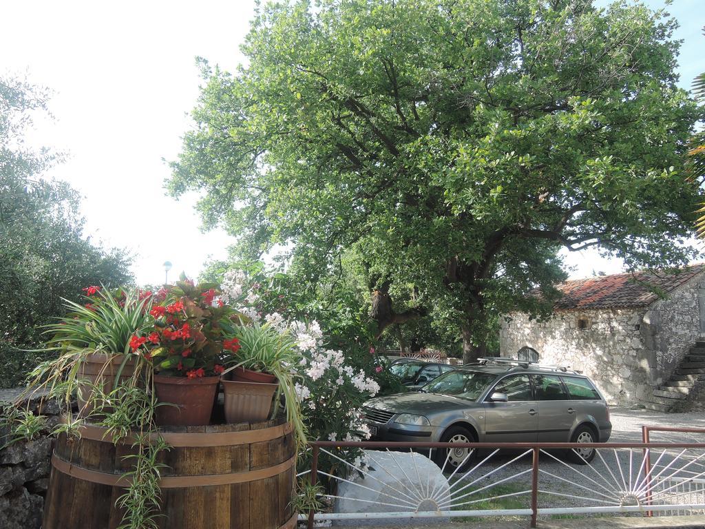 Sabina I Grapes Apartment *